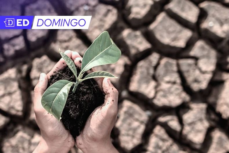 Bienes_Comunes_2 1 1.jpg