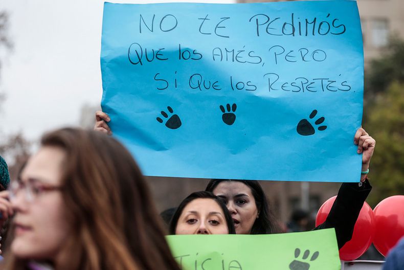 maltrato animal.jpg