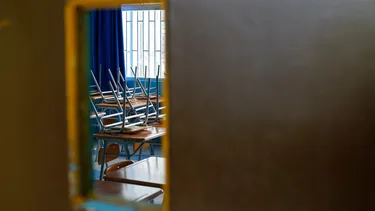 Dejen el tussi o eduquen a sus engendros: Los mensajes de docente suspendido por insultar a niños TEA