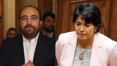 El duro emplazamiento de Chahin a Provoste: “Buscan pegas en el gobierno”