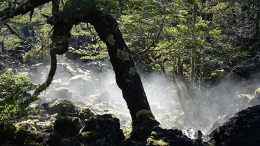 Lavas milenarias de la Araucanía recibirán a científicos de UNESCO en primera conferencia de geoparques de Sudamérica