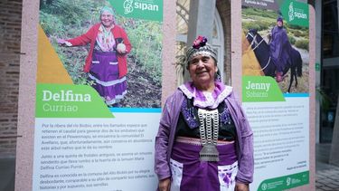 Chile postula a distinción mundial de sitios como Patrimonio Agrícola de la FAO