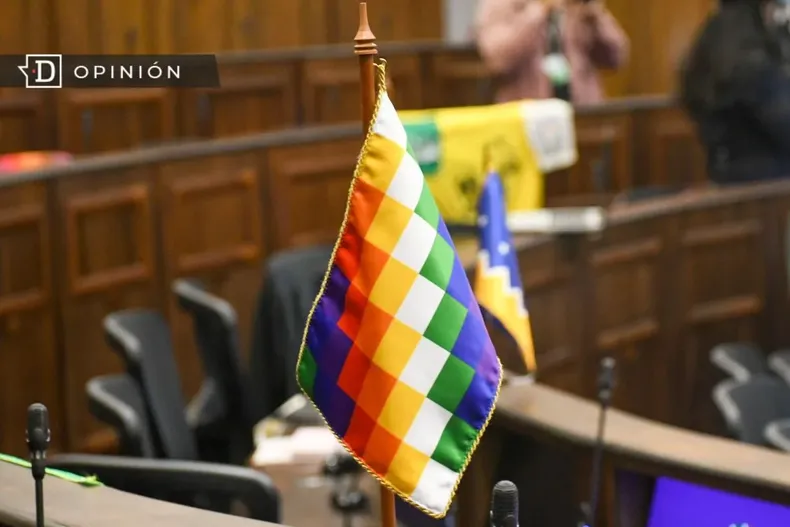 29832 banderin de la plurinacionalidad en el proceso constituyente.webp