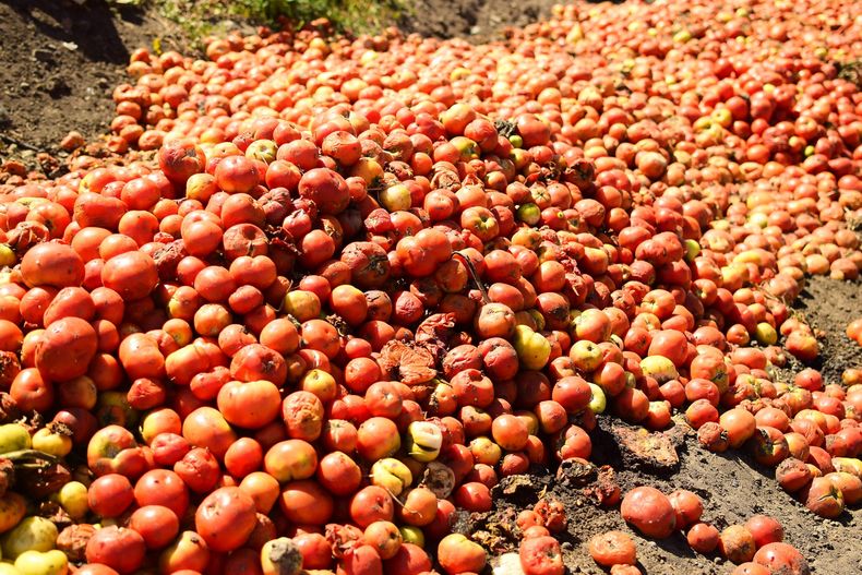 onLXcR_A scaled 1.jpeg