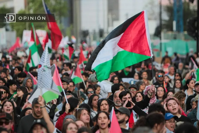 30812 marcha a favor de palestina.webp