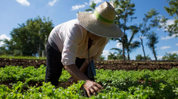 Agroecología en Chile como alternativa para enfrentar la crisis climática. Agroecología en Chile como alternativa para enfrentar la crisis climática.