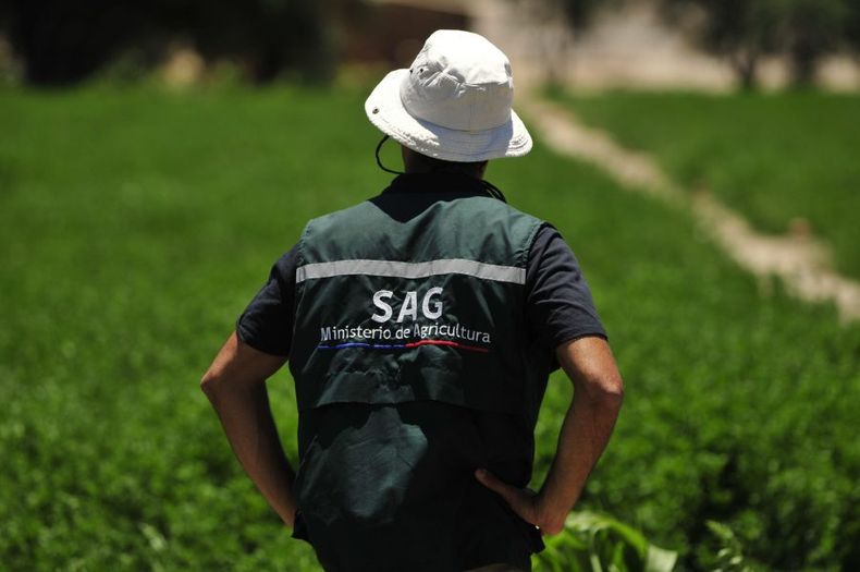 A_UNO_461692 scaled e1714505660367.jpg