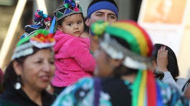El Desconcierto | mapuche 1.jpg