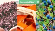 como aprovechar desechos industriales que aporten a la economia circular: 3 iniciativas destacan reuso de residuos organicos