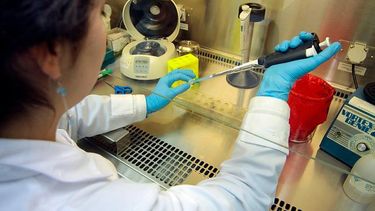 Jóvenes estudiantes logran avances para contribuir en la lucha contra el cáncer colorrectal