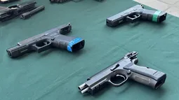 Gobierno logra récord histórico en destrucción de armas: material es usado en infraestructura de espacios de salud mental
