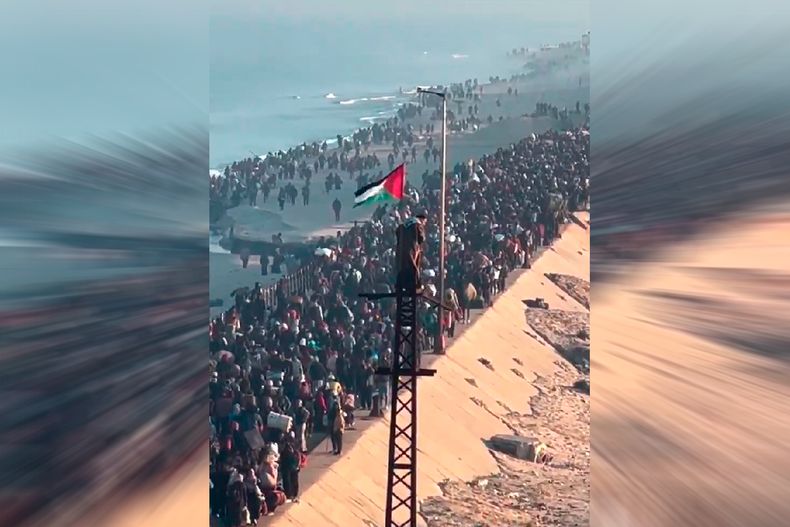 10683 gaza regreso.jpg