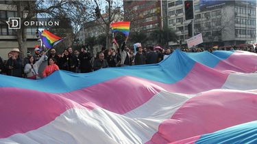 El Desconcierto | 8652 bandera trans gigante en marcha del orgullo.jpg