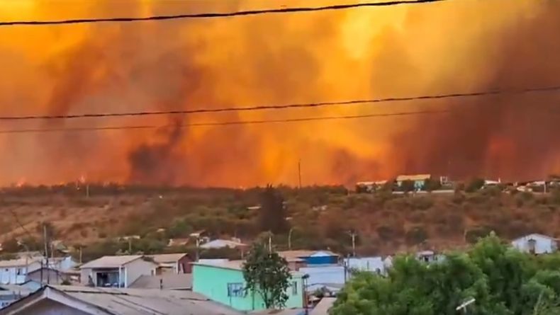 El incendio forestal en Limache comenzo el sabado Captura de pantalla.jpg .jpg