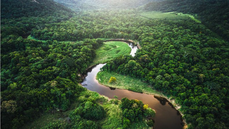 amazonia.jpg
