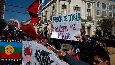 Pescadores artesanales denuncian reuniones a escondidas entre gobierno e industria pesquera: Huele a una nueva Ley Longueira