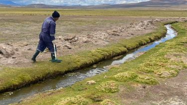 humedales y glaciares artificiales: las tecnicas indigenas que estan recuperando ecosistemas en chile