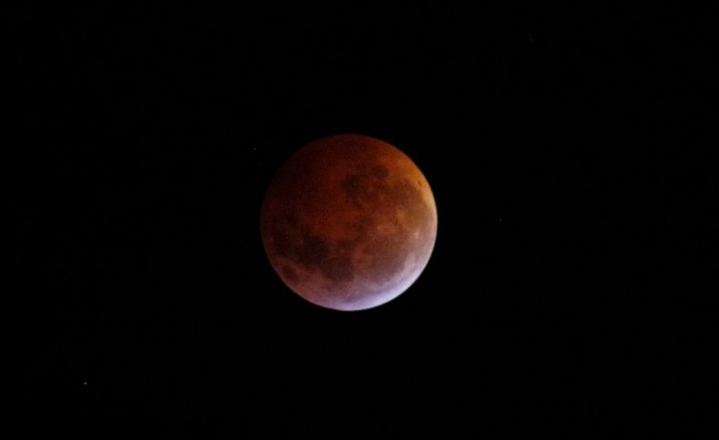 A_UNO_1033244.jpg
