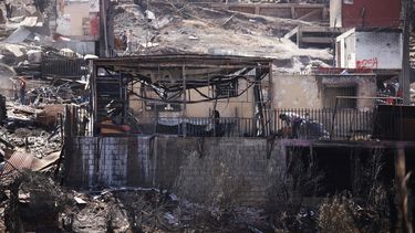 Seguridad en incendios: Confirman 13 detenidos por robos y armas en zona de catástrofe