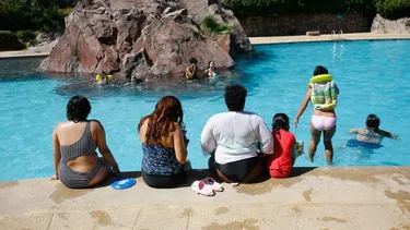 Golpe de calor, infecciones estomacales, virus hanta y arañas de rincón: Las afecciones más comunes de la temporada