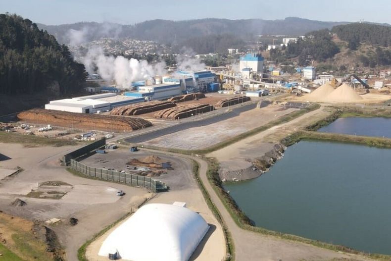 Foto_Planta_celulosa arauco constitucion1.jpeg
