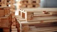 Empresas como Pallets Araya reparan, muelen y transforman pallets de madera en biomasa y mulch, evitando que terminen en vertederos: reciclaje en serio.