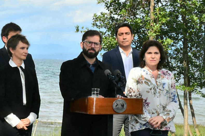 boric villarrica.jpg