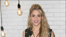 Shakira aparece en los Paradise Papers: Gestiona 31,6 millones de euros en Malta y Luxemburgo