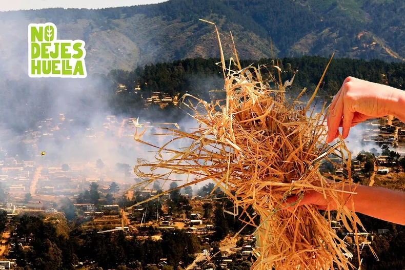 29043 riesgo incendios.webp