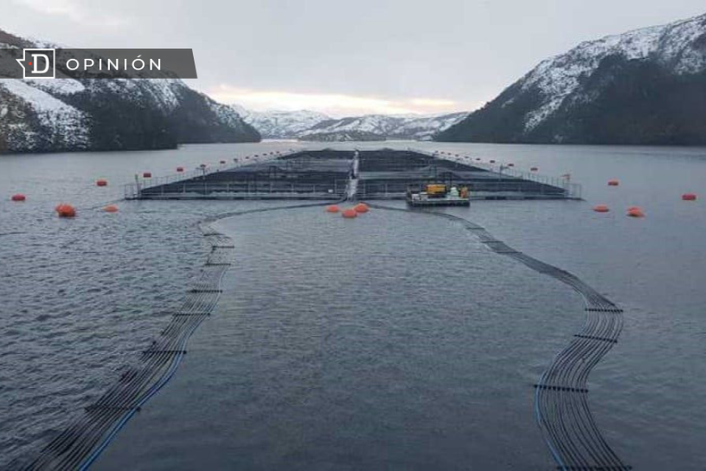 Diseno sin titulo 4.png