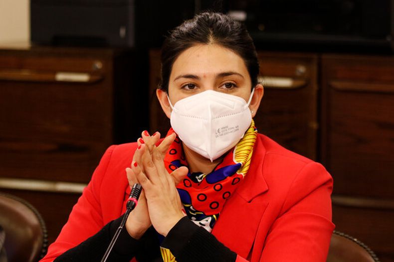 Carol Kariola Agencia Uno .jpeg