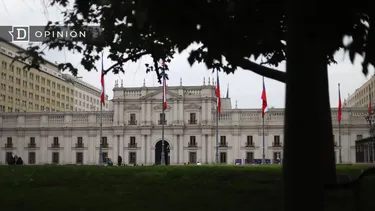 El Desconcierto | 12681 la moneda vista tras de un arbol en la plaza de la constituc.webp