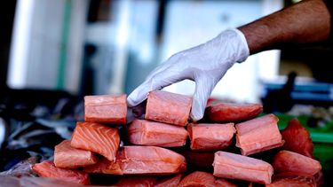 Rusia reemplaza el salmón chileno por la trucha turca: Un tercio menos de exportaciones este 2024