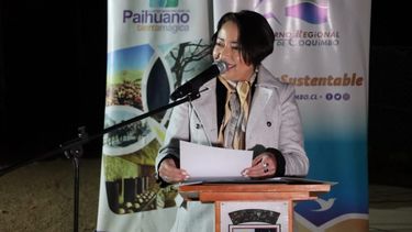 Suspenden a gobernadora de Coquimbo: Usó auto fiscal para ir al mall y al supermercado