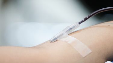 OMS y donación de sangre: Solo 14 de 1.000 chilenos la dona y debieran ser 20