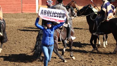Eliana Albasetti interrumpe rodeo junto a otros manifestantes en protesta animalista