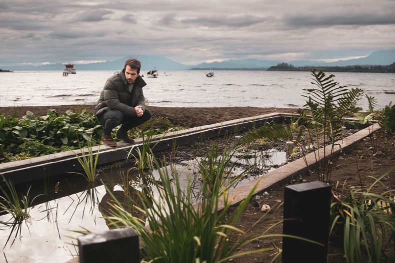 Las localidades de Puerto Varas y Frutillar son pioneras en Chile en la depuración de las aguas mediante una solución basada en la naturaleza.