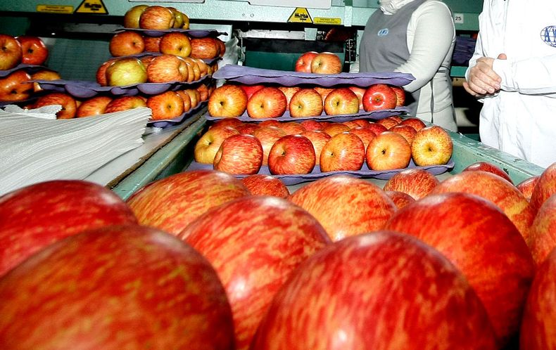 2380 alimentos.jpg