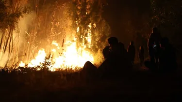 Director regional de Conaf carga contra empresas forestales por 4 mil hectáreas de residuos que agravaron tragedia de incendios