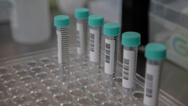 Médico defraudó con $46 millones a instituciones públicas: Corte ordenó extradición desde EE.UU.