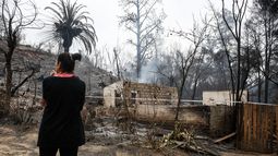 Proponen financiar reconstrucción por incendios en Valparaíso con impuesto a superricos