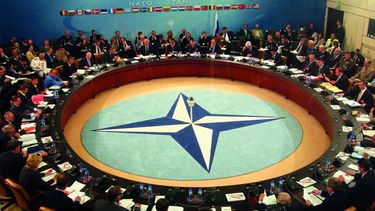 El Desconcierto | OTAN 1.jpg