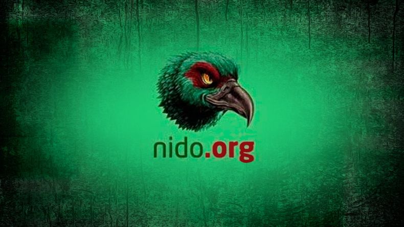 nido 1.jpg