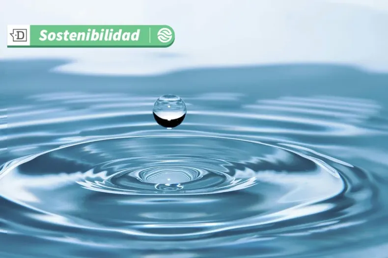 15599 diseno sin titulo 2025 05 12t121555.webp