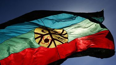 El Desconcierto | mapuche 2.jpg