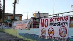 Bulnes y Penco-Lirquén: Dos mundos amenazados por Octopus