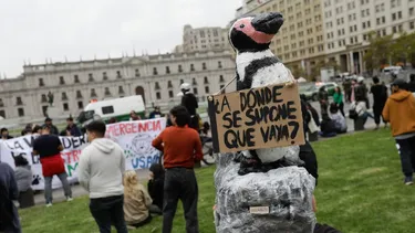 poder ciudadano en materia ambiental