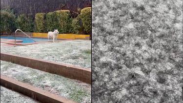 VIDEO| Reportan la caída de nieve en San Carlos de Apoquindo
