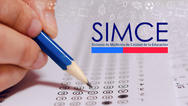 Fernández Fica S.A.: La otra firma del dueño de empresa del Simce fallido ha ganado más de $260 millones en contratos estatales