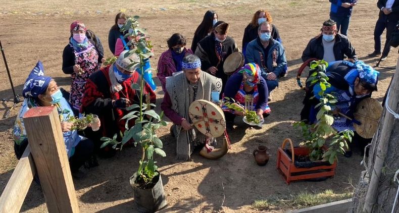 Dia de los Pueblos Originarios.jpg